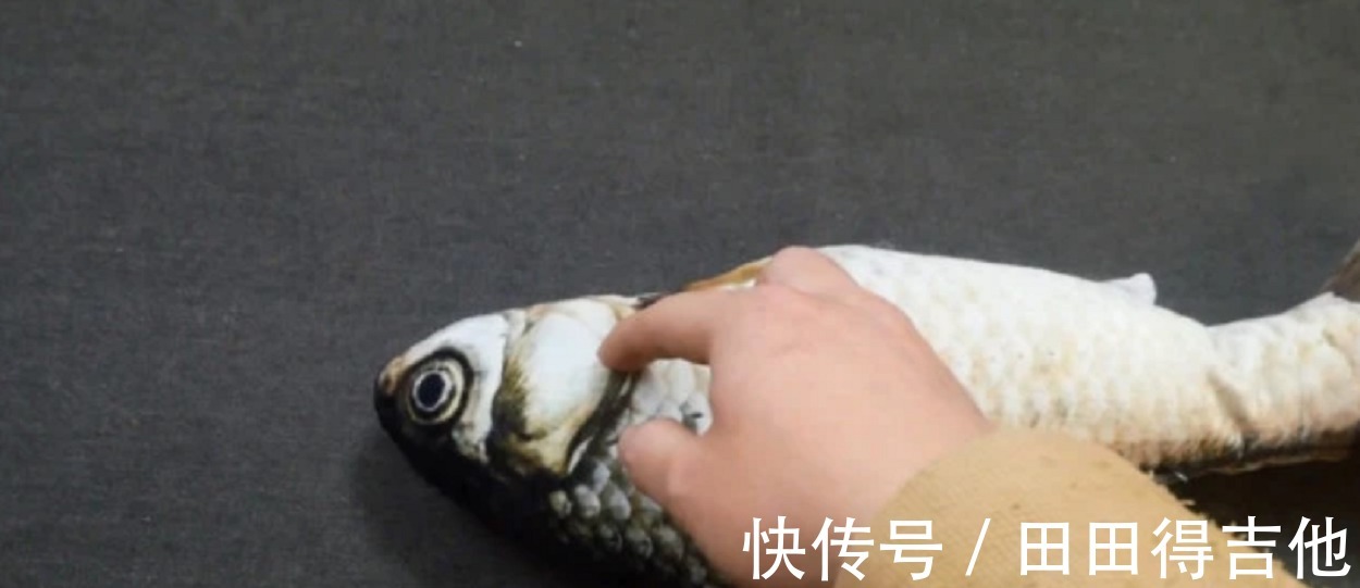鱼肉|买鱼时，看到这样的鱼快走开，免费白送都别要，快告诉家里人！