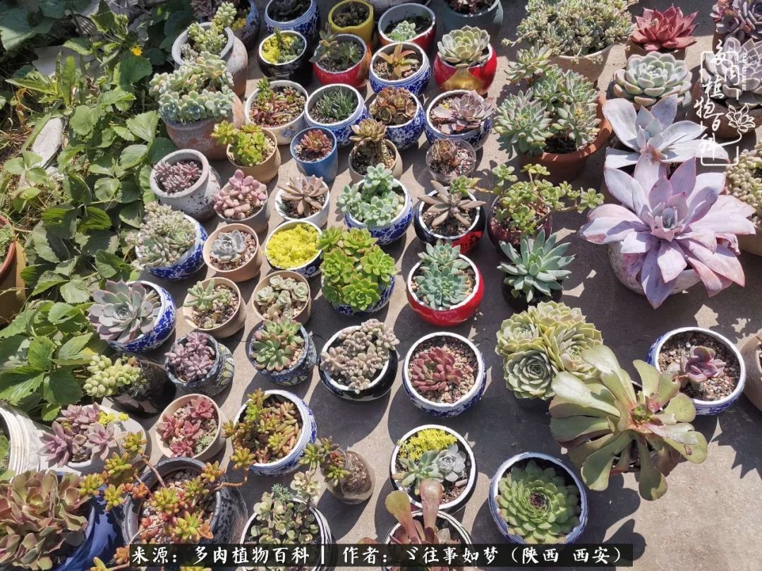 愿你付出甘之如饴,愿你所得归于欢喜!