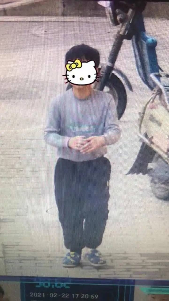 “爱我还是爱作业?”11岁男孩出走:妈妈变了