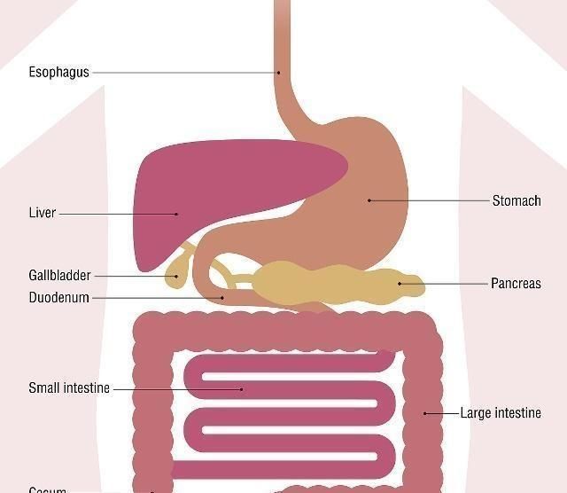 排出体外|肠癌有“3喜”，坚持“食3物、饮2水”原则，肠道越来越健康
