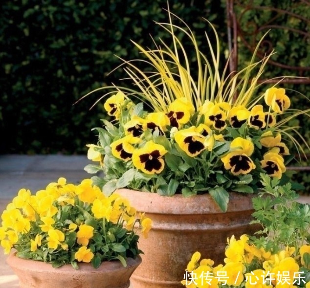 任何容器都能用来做花盆,请收好这30种美丽的花盆搭配设计