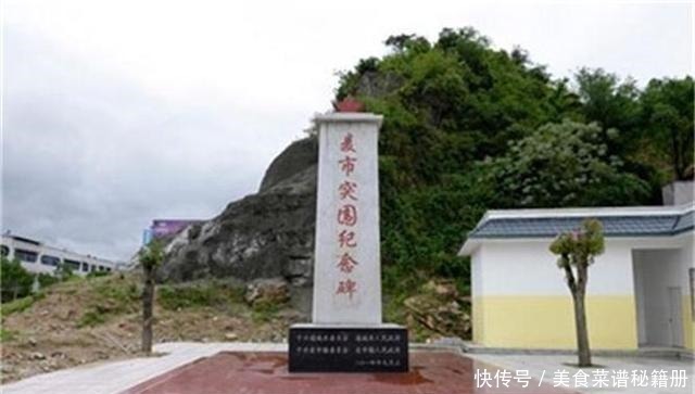 上将|红军主力长征后,这支队伍重要领导多叛变,两位意志坚强者授上将