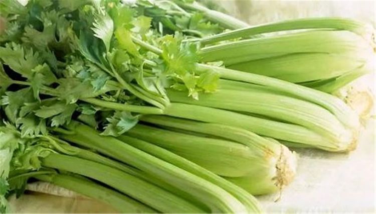 聰明人都在吃3種食物，營養(yǎng)豐富、延緩衰老，好處多多！