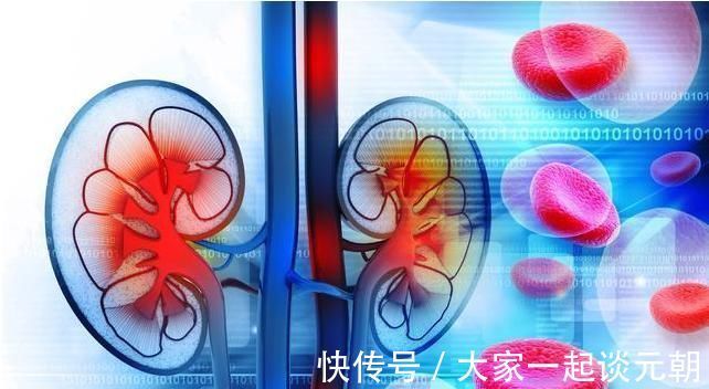 炎症|肾病总反复，都是蛋白尿惹的祸？降蛋白肾友只需记住12个字