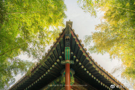 万物|在潭柘寺与古朴肃穆相遇