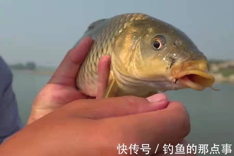 怪不得总是断线跑鱼,原来做错了这3件事,后悔现在才明白