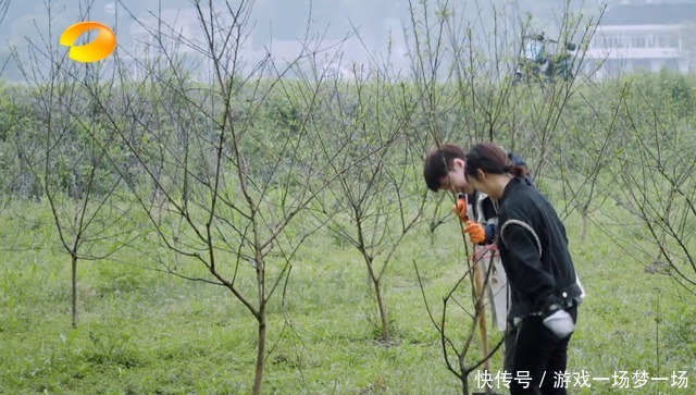 同款|《向往5》下期太精彩,杨紫加盟不算啥,和张艺兴同款睡裤才是美!