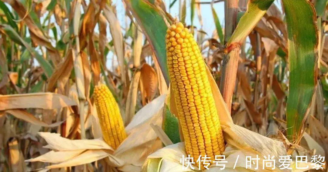 陰歷|立秋不立秋，六月二十頭，立秋和六月有啥關系？今年立秋是幾月