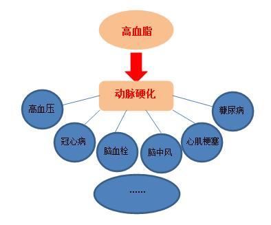 高血脂|它们的脂肪含量甚至比肉类还要高，若是患有高血脂的人群，建议最好不要吃！