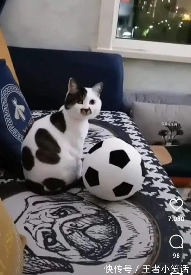 |「被窝段子0925」发脾气 只表示您的智慧不足以解决您所面临的问题