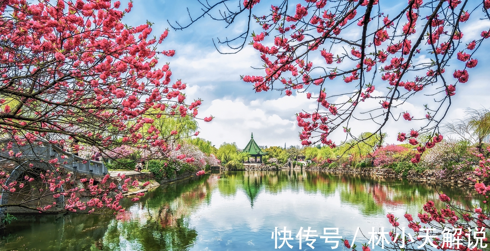 一杯酒$“桃李春风一杯酒,江湖夜雨十年灯。”以此句为引,论桃李的连用