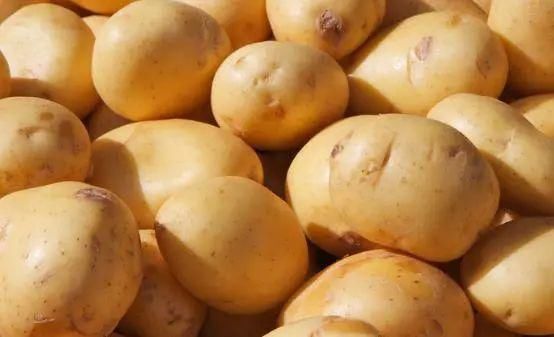 柿子|不要再吃了!这些相生相克的食物很危险!