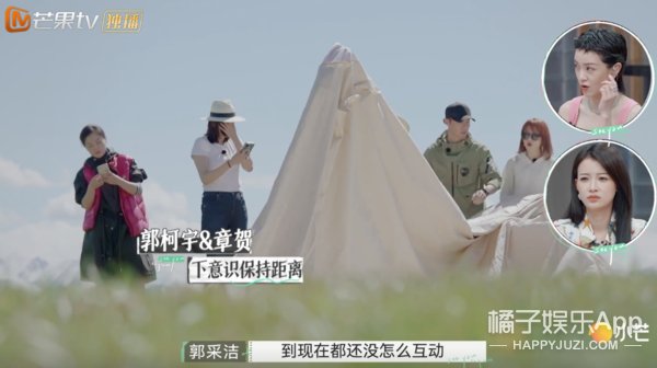 离婚|至于要把两人骂到退出节目吗？