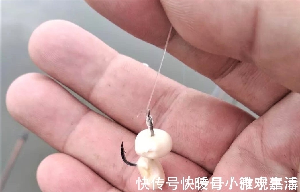 钓鱼到底有没有通用钩?这几种鱼钩哪种更好用?