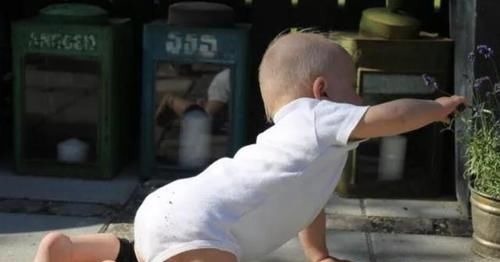 智力|“先爬后走”的孩子,和“不爬就走”的孩子,长大后有这3个差别