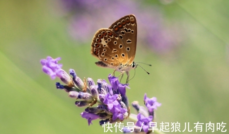 牛人|年龄越大越有福，不再劳碌，手里有钱花，日子轻轻松松，子女孝顺