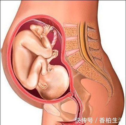 注意|孕晚期这两个月是胎儿的猛涨期，这五个注意事项要提前知道