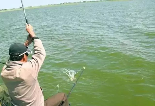 钓鱼|刺激鱼疯狂开口的4种钓法,垂钓高手都这样做,中鱼率飙升10倍!