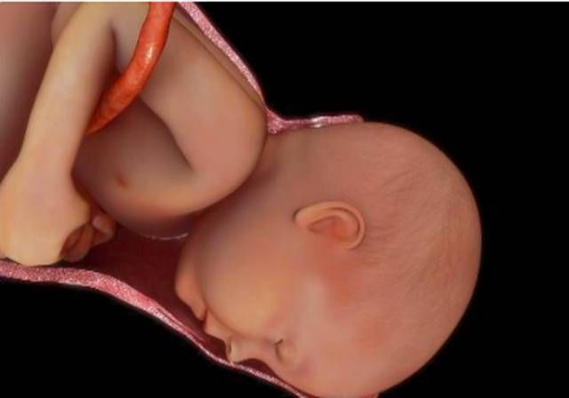 宫颈|顺产提及的“宫口十指”到底是啥概念？得知真相后，心疼顺产妈妈