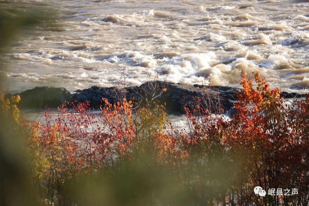 岷县的春夏秋冬，看不够！