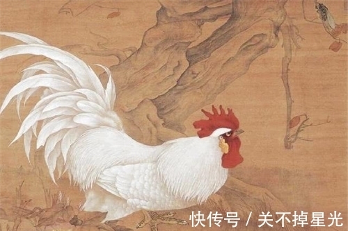 唐寅#唐伯虎画了只鸡,即兴题了首诗,却成名句入选小学课本,传诵至今