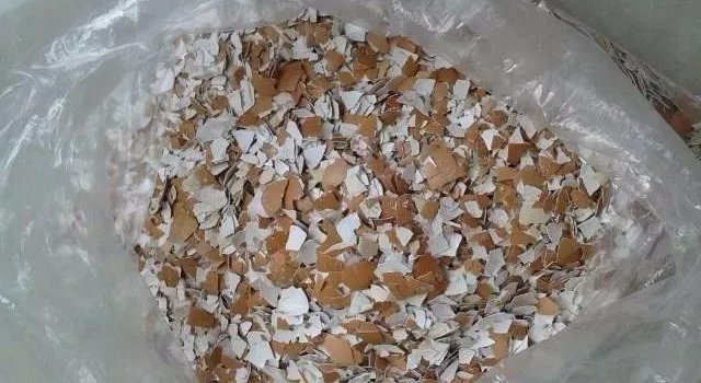 花草|养花不用买土,用这几样东西掺一块儿,种什么花草都旺