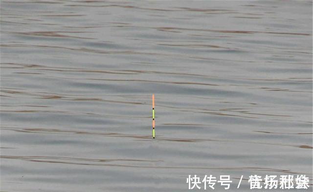 调漂的本质是找底,如何判断是否到底?是钓组什么部位到底?