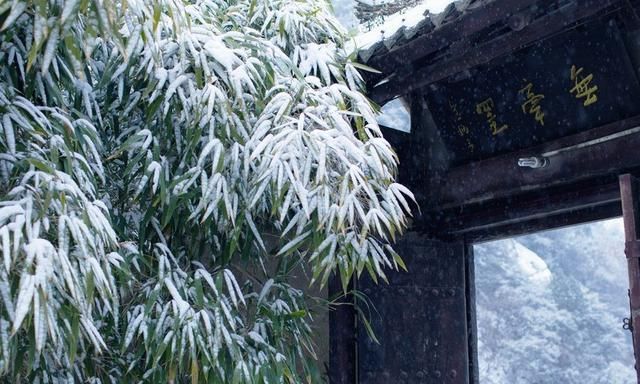 聚宝盆|10副智慧对联:摇钱树出自勤劳者,聚宝盆归于节俭家