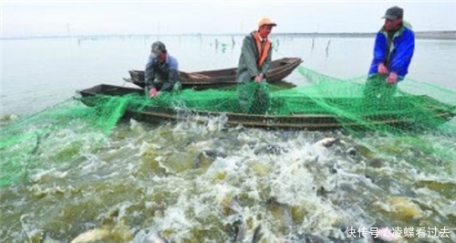 上山|古代闹饥荒时,为何灾民宁可啃树皮,也不肯上山打猎下河捕鱼?