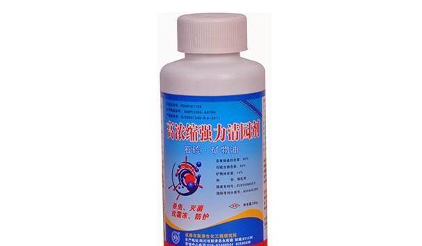 养不活|月季养不活?教你避开种死月季的五个陷阱,不走弯路做月季大神