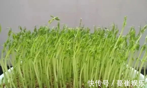 绿叶蔬菜|牛奶骨头汤统统靠边，它才是最有效的补钙食物，纯天然，还很便宜