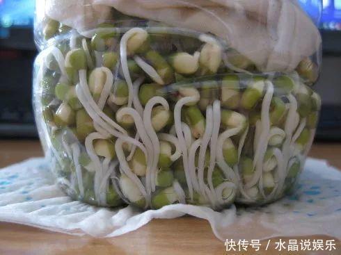 生根|矿泉水瓶有“大作用”,10个“用法”最经典,可以种豆芽、养花