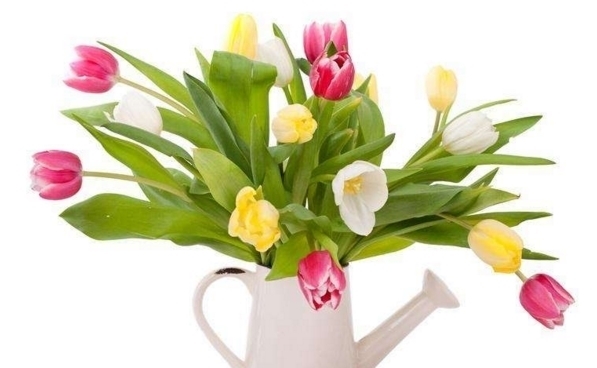 算命|算命的说,11月份这3生肖桃花旺,横财发,喜事接二连三。