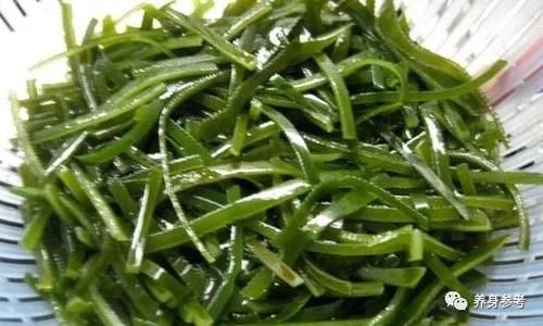 黑芝麻|入秋吃十宝,胜过冬虫草!不知道就亏大了!