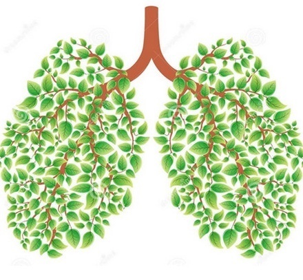 华盖|全民养肺，刻不容缓！一个专治肺病的黄金方，养肺更润肺