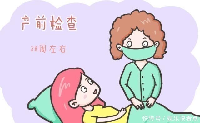 心率|孕早期,若孕妈能看懂报告单上的这些数据,胎宝就没什么小秘密了