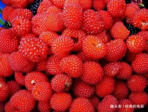 此花美丽而芳香，白花红果十分和谐，誉为可以直接吃的维生素之花