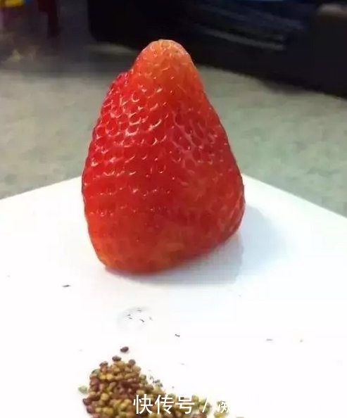 人无聊到爆的时候会干出什么事?看完这些奇葩的行为,我真服了