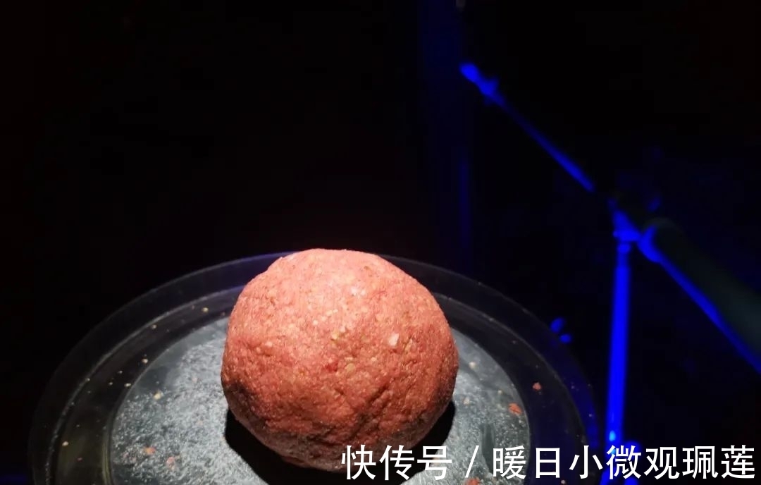 深水|晚上鱼口一定好?难怪你经常空军,夏季夜钓有“四不钓”