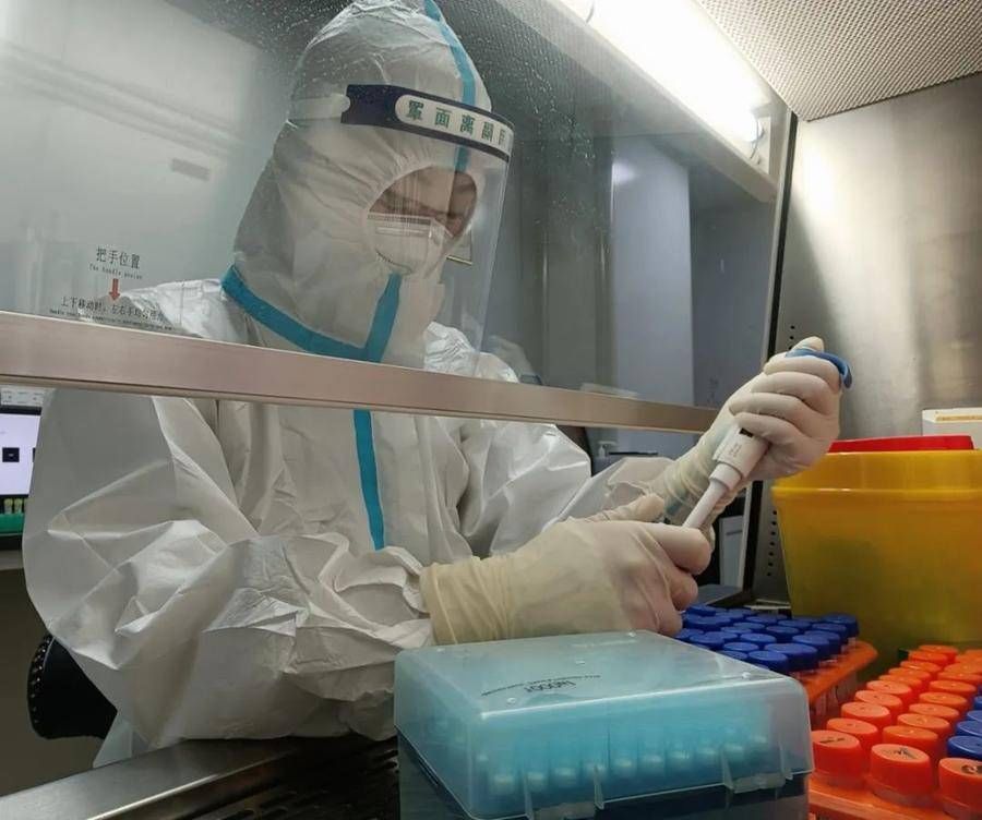 核酸|日检测量1.2万！宁津县中医院多措并举强化核酸检测能力
