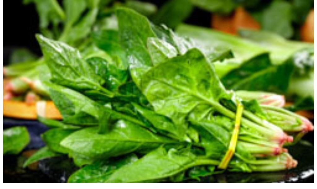 长高|孩子发育慢不能吃蛋黄？72岁儿医：想孩子长高个，需少吃“3素”