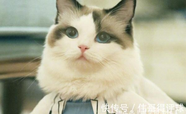 |搞笑段子:笑能笑出腹肌,为什么我不行