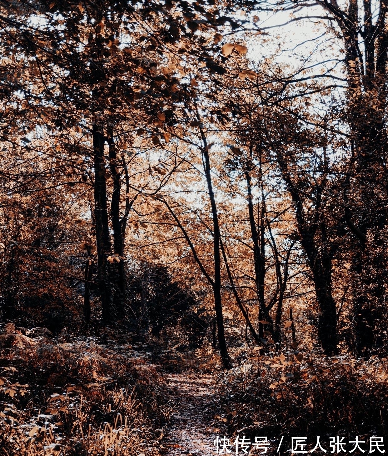 张九龄&宰相张九龄很惊艳的一首诗,送同事出城当官,最后10字豪放又浪漫