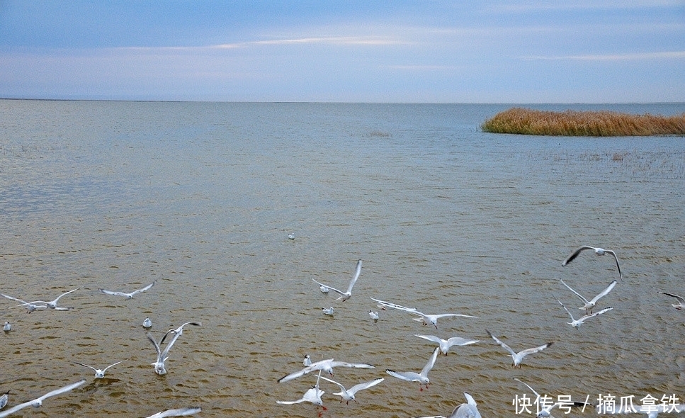 大漠秘境探险之路