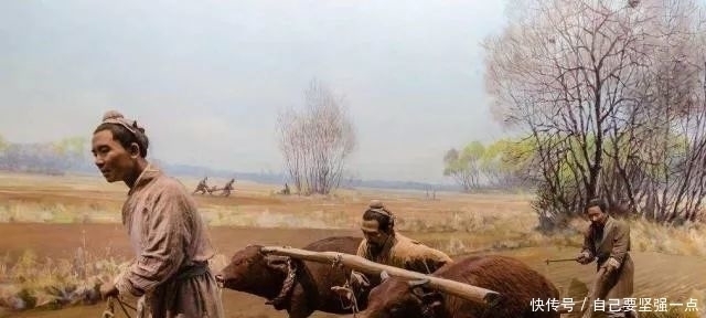 a8485|比甲骨文古老的文字,距今超8000年,考古家:中华文明再加三千年