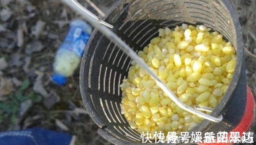 大板鲫|大板鲫不咬钩,只怪天气不好?老钓手换用这套钓法,刚下竿就中鱼