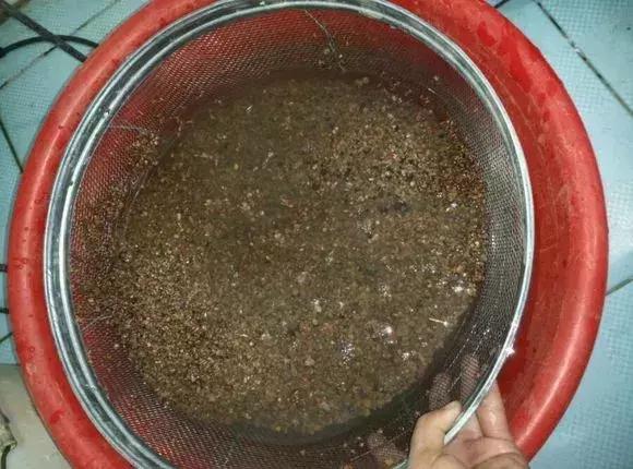 什么腐叶土、营养土,比不上“一窝煤”,养花不烂根,易爆盆!