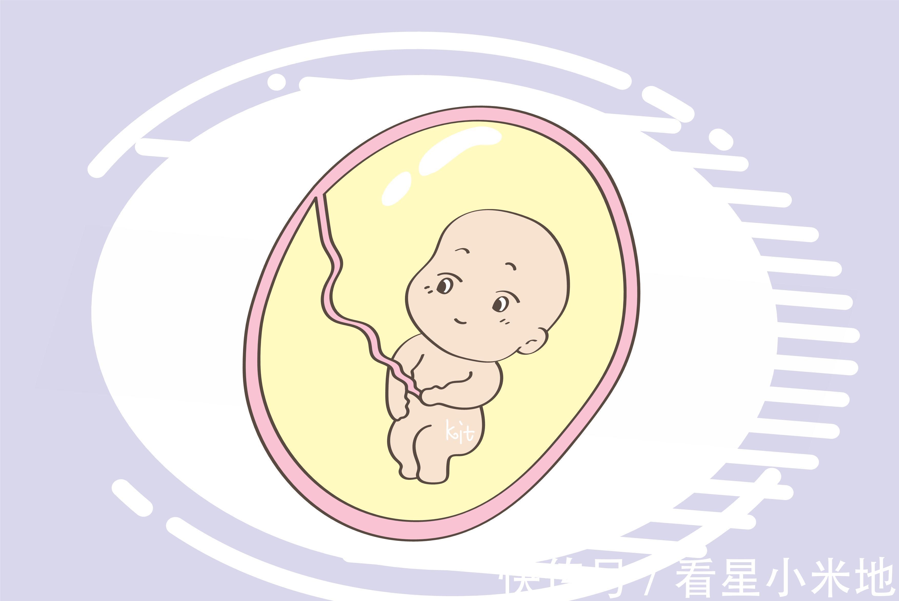 发育|孕妈显怀和胎儿发育有关?正确了解,有助于孕育新生命