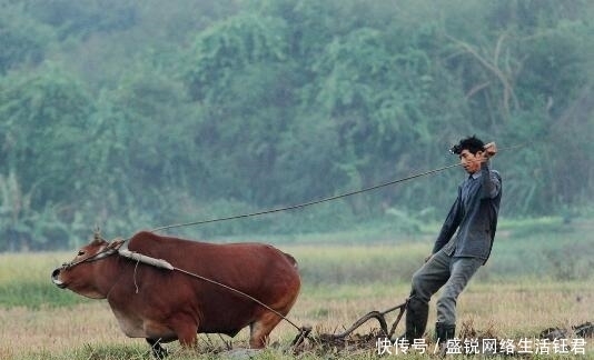  回族|满族人不吃狗肉，回族人不吃猪肉，汉族人不吃什么你们知道吗？