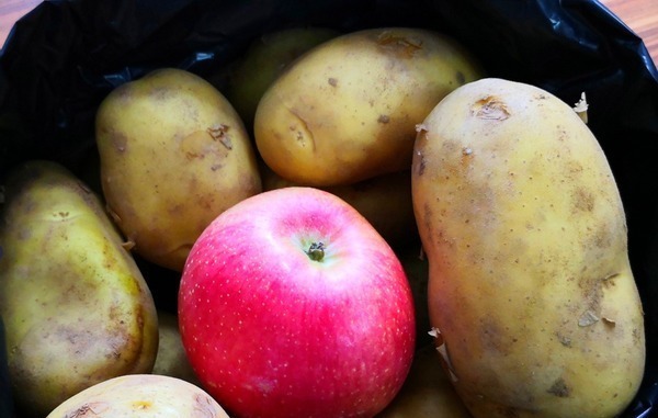 家里的土豆放久了就长芽了教你3招,久放也不长芽不变色